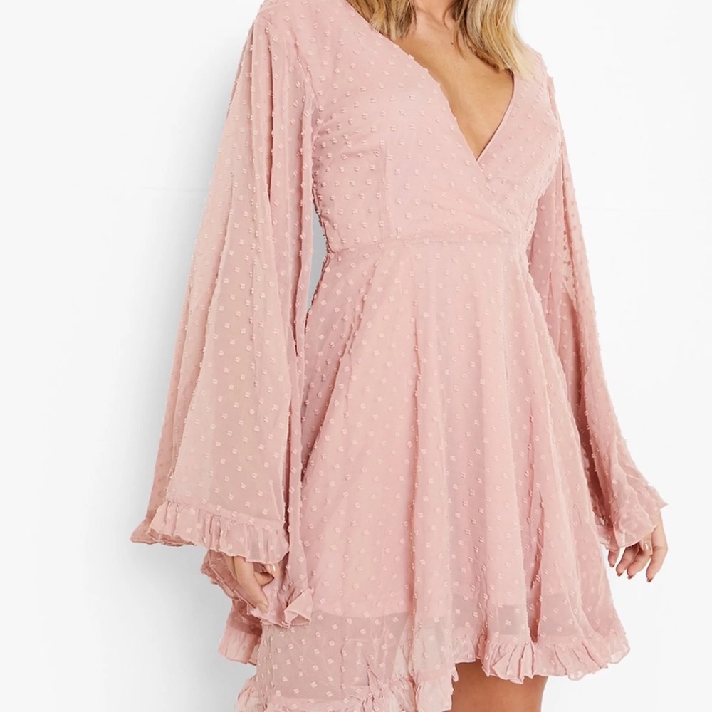 NWT Chiffon Wide Sleeve Skater Dress in Blush